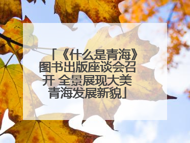 《什么是青海》图书出版座谈会召开 全景展现大美青海发展新貌