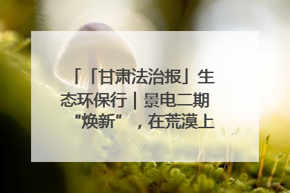 「甘肃法治报」生态环保行｜景电二期“焕新”，在荒漠上筑起一道绿色长城