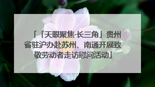 「天眼聚焦·长三角」贵州省驻沪办赴苏州、南通开展致敬劳动者走访慰问活动