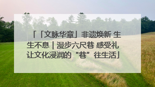 「文脉华章」非遗焕新 生生不息｜漫步六尺巷 感受礼让文化浸润的“巷”往生活