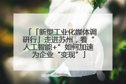 「新型工业化媒体调研行」走进苏州，看“人工智能+”如何加速为企业“变现”