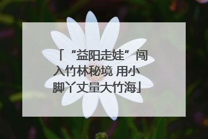 “益阳走娃”闯入竹林秘境 用小脚丫丈量大竹海