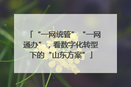“一网统管”“一网通办”，看数字化转型下的“山东方案”