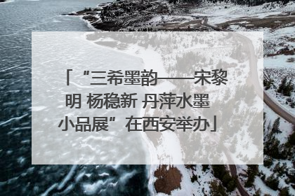 “三希墨韵——宋黎明 杨稳新 丹萍水墨小品展”在西安举办