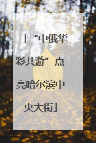 “中俄华彩共游”点亮哈尔滨中央大街
