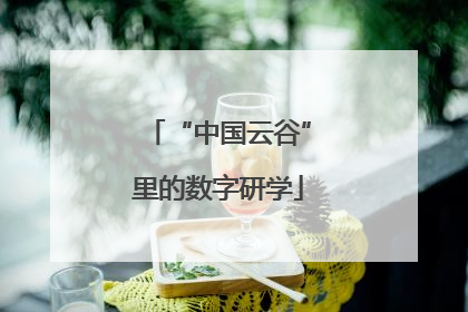 “中国云谷”里的数字研学