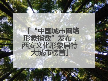 “中国城市网络形象指数”发布，西安文化形象居特大城市榜首