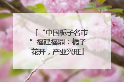 “中国栀子名市”福建福鼎：栀子花开，产业兴旺