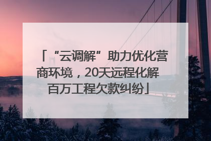 “云调解”助力优化营商环境，20天远程化解百万工程欠款纠纷