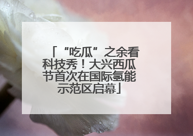 “吃瓜”之余看科技秀！大兴西瓜节首次在国际氢能示范区启幕