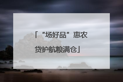 “场好品”惠农贷护航粮满仓