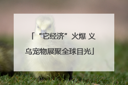 “它经济”火爆 义乌宠物展聚全球目光
