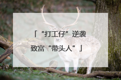 “打工仔”逆袭致富“带头人”