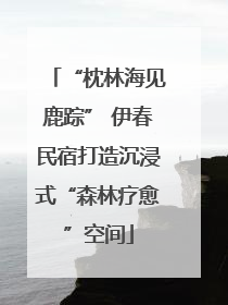 “枕林海见鹿踪” 伊春民宿打造沉浸式“森林疗愈”空间