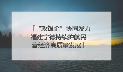 “政银企”协同发力 福建宁德持续护航民营经济高质量发展