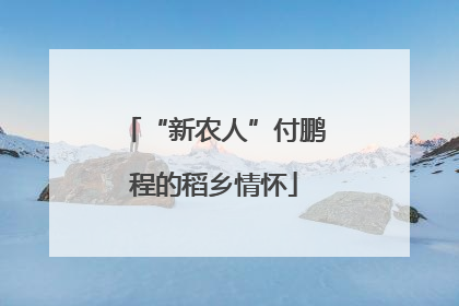 “新农人”付鹏程的稻乡情怀