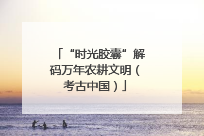“时光胶囊”解码万年农耕文明（考古中国）
