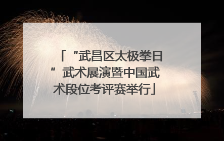 “武昌区太极拳日”武术展演暨中国武术段位考评赛举行