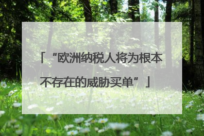 “欧洲纳税人将为根本不存在的威胁买单”