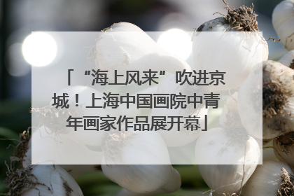 “海上风来”吹进京城！上海中国画院中青年画家作品展开幕
