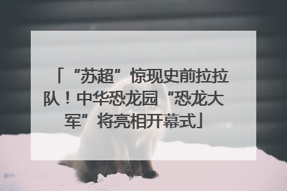 “苏超”惊现史前拉拉队！中华恐龙园“恐龙大军”将亮相开幕式