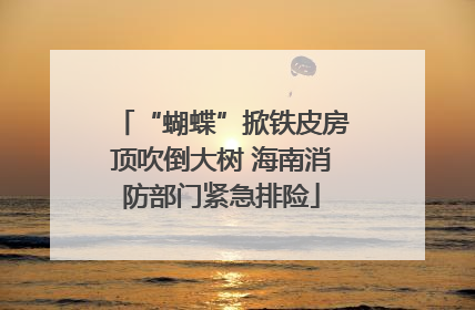 “蝴蝶”掀铁皮房顶吹倒大树 海南消防部门紧急排险