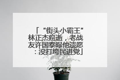 “街头小霸王”林正杰癌逝，老战友许国泰曝他遗愿：没打垮民进党