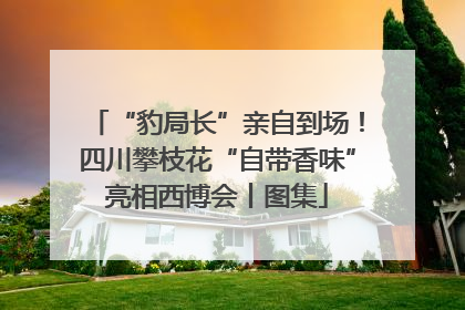 “豹局长”亲自到场！四川攀枝花“自带香味”亮相西博会丨图集