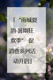 “雨城夏韵·暑期狂欢季” 促消费系列活动开启