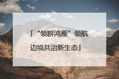 “领群鸿雁”领航边境共治新生态