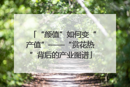 “颜值”如何变“产值”——“赏花热”背后的产业图谱
