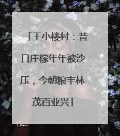 王小楼村：昔日庄稼年年被沙压，今朝粮丰林茂百业兴
