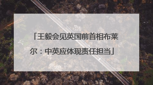王毅会见英国前首相布莱尔：中英应体现责任担当