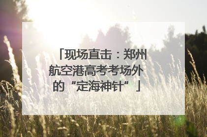 现场直击：郑州航空港高考考场外的“定海神针”
