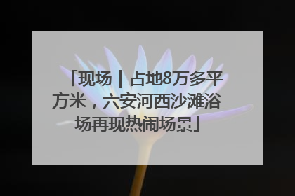 现场｜占地8万多平方米，六安河西沙滩浴场再现热闹场景