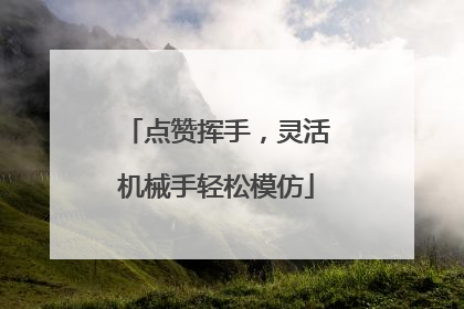 点赞挥手，灵活机械手轻松模仿