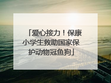 爱心接力！保康小学生救助国家保护动物冠鱼狗