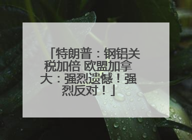 特朗普：钢铝关税加倍 欧盟加拿大：强烈遗憾！强烈反对！