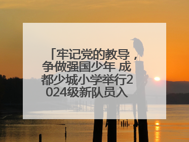 牢记党的教导，争做强国少年 成都少城小学举行2024级新队员入队仪式