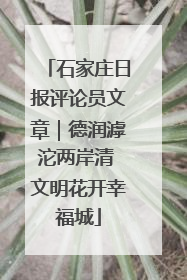 石家庄日报评论员文章｜德润滹沱两岸清 文明花开幸福城