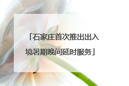 石家庄首次推出出入境暑期晚间延时服务