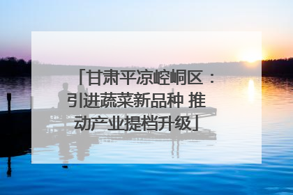 甘肃平凉崆峒区：引进蔬菜新品种 推动产业提档升级