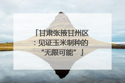 甘肃张掖甘州区：见证玉米制种的“无限可能”