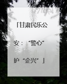 甘肃民乐公安：“警心”护“企兴”