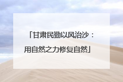 甘肃民勤以风治沙：用自然之力修复自然