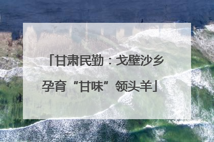 甘肃民勤：戈壁沙乡孕育“甘味”领头羊