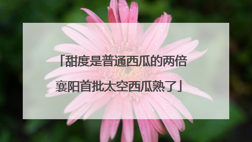 甜度是普通西瓜的两倍 襄阳首批太空西瓜熟了