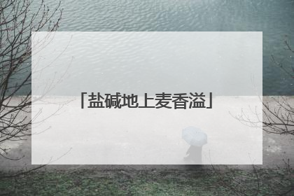 盐碱地上麦香溢