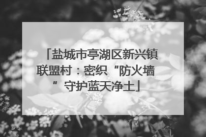 盐城市亭湖区新兴镇联盟村：密织“防火墙”守护蓝天净土