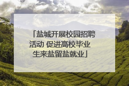 盐城开展校园招聘活动 促进高校毕业生来盐留盐就业